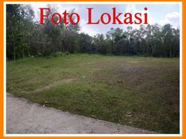  Land for sale in Bantul, Yogyakarta, Sedayu, Bantul