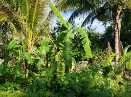  Terreno (Parcela) en venta en Merida, Yucatán, Merida