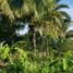  Terreno (Parcela) en venta en Merida, Yucatán, Merida