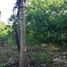  Terreno (Parcela) en venta en Merida, Yucatán, Merida