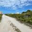  Land for sale in Dzemul, Yucatan, Dzemul