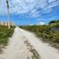  Land for sale in Dzemul, Yucatan, Dzemul