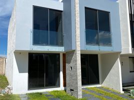 Appartement 3 chambre à vendre à Zapopan, Jalisco, Zapopan