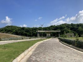  Terrain for sale in Portal Del Prado Centro Comercial, Barranquilla, Barranquilla