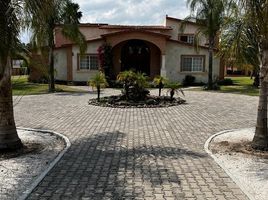 5 Bedroom House for sale in Tequisquiapan, Queretaro, Tequisquiapan
