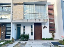 3 Schlafzimmer Haus zu vermieten in Zapopan, Jalisco, Zapopan, Jalisco