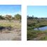 Terrain à vendre à Comondu, Baja California Sur, Comondu