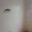 3 Bedroom House for sale in Quezon City, Metro Manila, Quezon City, Eastern District, Metro Manila
