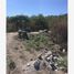  Land for sale in Amacuzac, Morelos, Amacuzac