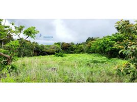  Land for sale in Alto Boquete, Boquete, Alto Boquete