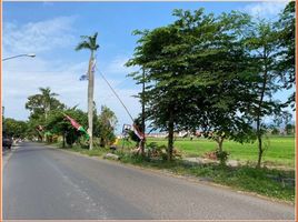  Land for sale in Prambanan, Klaten, Prambanan