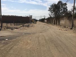  Terreno (Parcela) en venta en Sunampe, Chincha, Sunampe