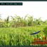  Land for sale in Selemadeg, Tabanan, Selemadeg