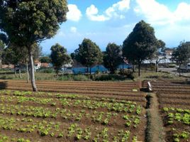  Tanah for sale in Cimahi Tengah, Bandung, Cimahi Tengah