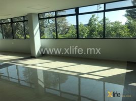 300 m² Office for rent in Benito Juarez, Mexico City, Benito Juarez