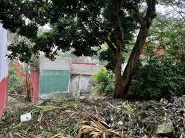  Terreno (Parcela) en venta en Coatepec, Veracruz, Coatepec