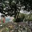  Terreno (Parcela) en venta en Coatepec, Veracruz, Coatepec