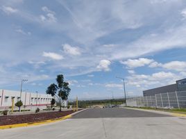  토지을(를) Irapuato, 구아나후토에서 판매합니다., Irapuato