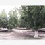  Land for sale in Matamoros, Coahuila, Matamoros