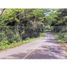  Land for sale in Penonome, Cocle, Penonome, Penonome