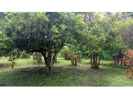  Terrain for sale in Anton, Cocle, Rio Hato, Anton