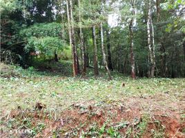  Terreno (Parcela) en venta en Tocumen, Ciudad de Panamá, Tocumen
