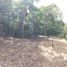  Terreno (Parcela) en venta en Tocumen, Ciudad de Panamá, Tocumen