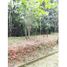  Terreno (Parcela) en venta en Tocumen, Ciudad de Panamá, Tocumen