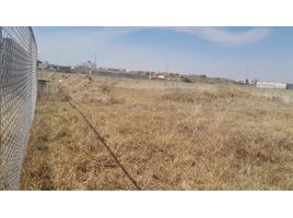 Terrain à vendre à San Jeronimo Tecuanipan, Puebla, San Jeronimo Tecuanipan, Puebla