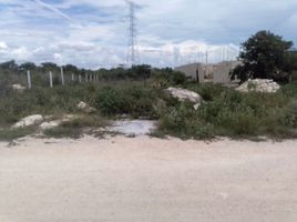  Grundstück zu verkaufen in Merida, Yucatan, Merida, Yucatan