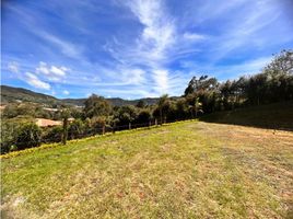  Land for sale in El Carmen De Viboral, Antioquia, El Carmen De Viboral