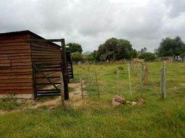  Terreno for sale in Rio Grande do Sul, Sem Nome, Lagoa Mirim, Rio Grande do Sul