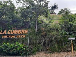  Land for sale in Guayaquil, Guayas, Guayaquil, Guayaquil, Guayas