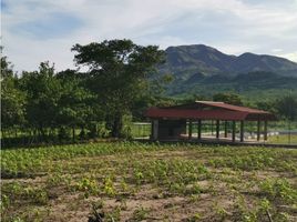  Terreno (Parcela) en venta en La Pintada, Coclé, La Pintada, La Pintada