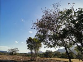  Grundstück zu verkaufen in La Pintada, Cocle, La Pintada, La Pintada