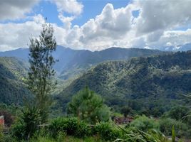  Land for sale in Chignahuapan, Puebla, Chignahuapan