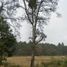  Land for sale in Chignahuapan, Puebla, Chignahuapan