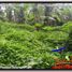  Land for sale in Selemadeg, Tabanan, Selemadeg