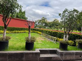 500 m² Office for rent in Mexiko, Alvaro Obregon, Mexico City, Mexiko