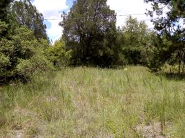  Land for sale in Omitlan De Juarez, Hidalgo, Omitlan De Juarez