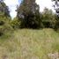  Land for sale in Omitlan De Juarez, Hidalgo, Omitlan De Juarez