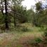  Land for sale in Omitlan De Juarez, Hidalgo, Omitlan De Juarez