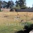  Land for sale in Celaya, Guanajuato, Celaya