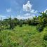  Terreno (Parcela) en venta en Mengwi, Bali, Mengwi, Badung