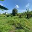  Terreno (Parcela) en venta en Mengwi, Bali, Mengwi, Badung