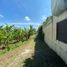  Terreno (Parcela) en venta en Mengwi, Bali, Mengwi, Badung