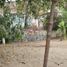  Land for sale in Manzanillo, Colima, Manzanillo