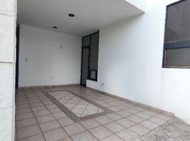 0 m² Office for rent in Jesus Maria, Aguascalientes, Jesus Maria