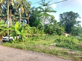  Tanah for sale in Pengasih, Kulon Progo, Pengasih