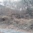  Land for sale in Miacatlan, Morelos, Miacatlan